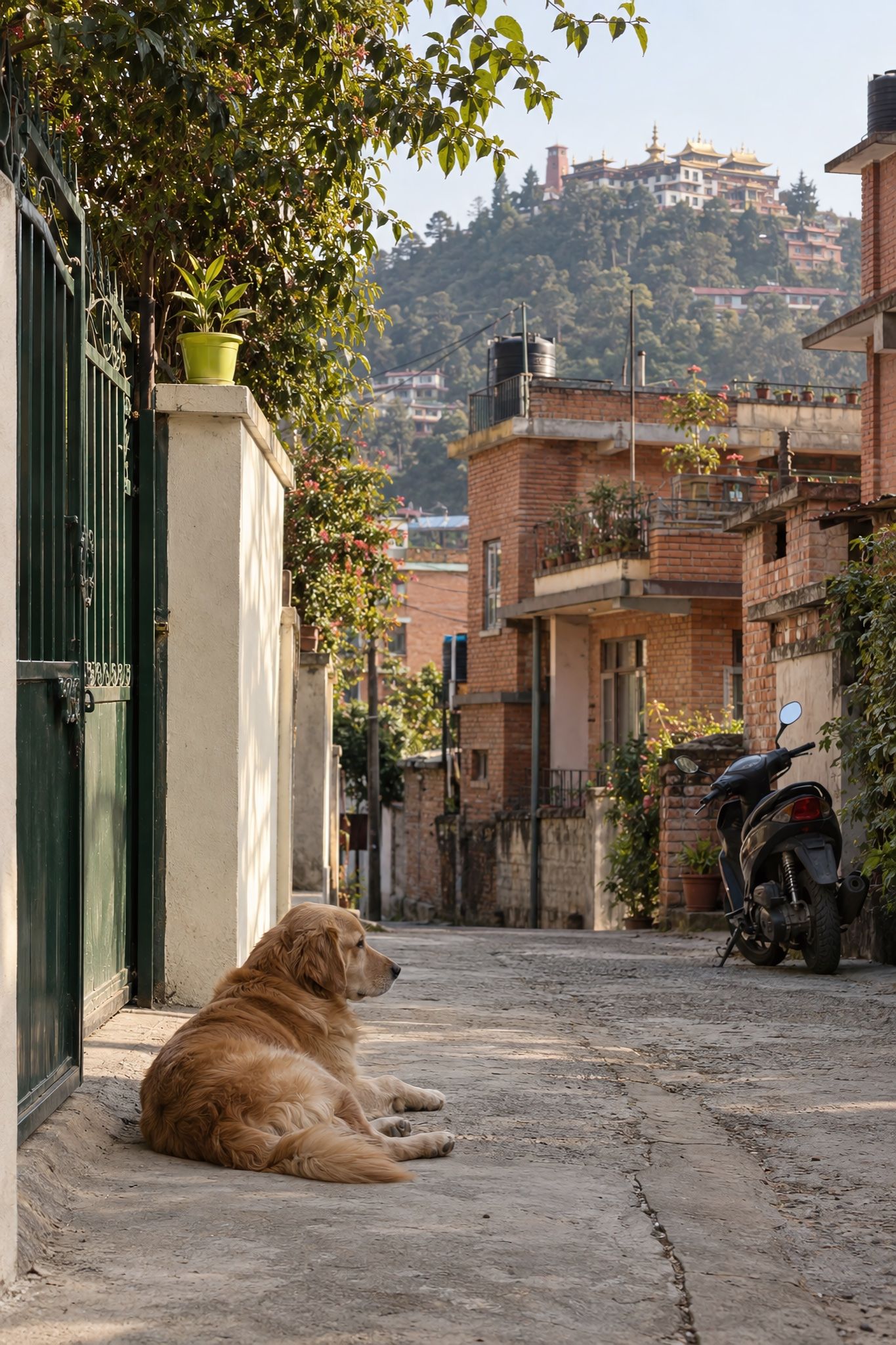 A Kapan lane in the morning, Kopan Monastery on the hill above
